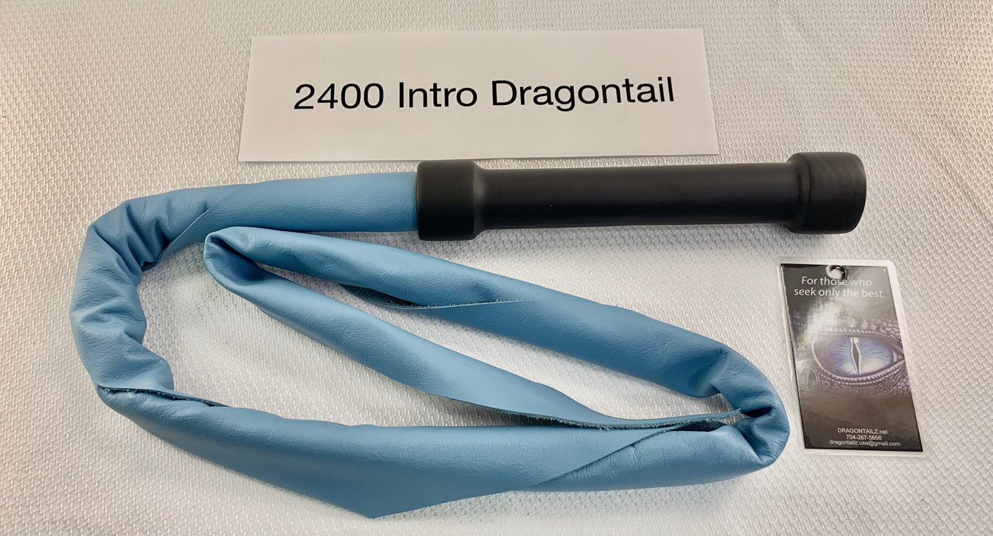 2400 Intro dragontail